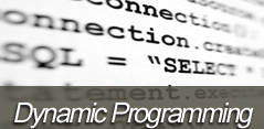Dynamic Programming